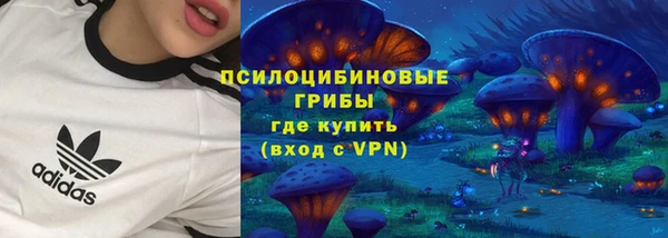 прущий лед Инсар