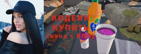 прущий лед Инсар