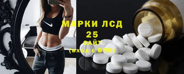 прущие грибы Магадан