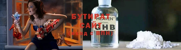 прущие грибы Магадан