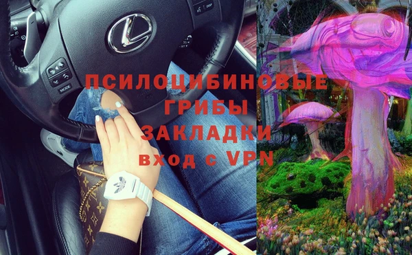 гидропоника Иннополис