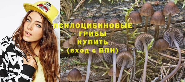 гидропоника Иннополис