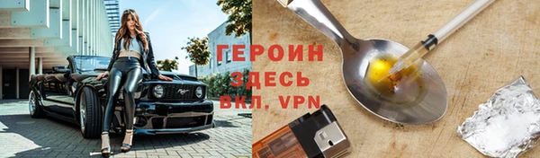 прущие грибы Магадан